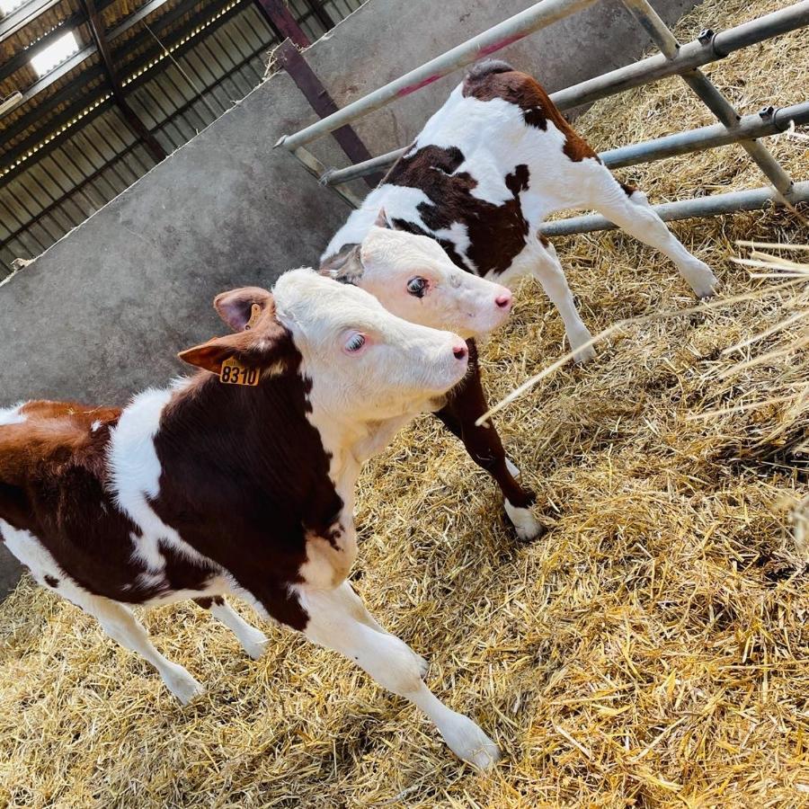 Отель Kota A La Ferme Beaufort-en-Argonne Экстерьер фото